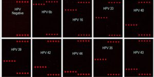 visuel-laboratoire-04